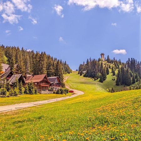 Hotel Villa Ugar Власич Экстерьер фото